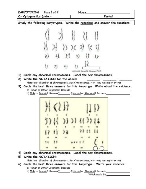 Karyotyping Worksheet