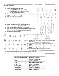 B6F- Karyotype Worksheet | Study notes Health sciences | Docsity