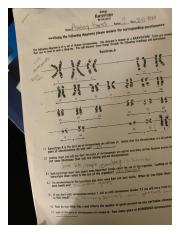 Biology karyotype worksheet key - Biology Karyotype Worksheet Name ...