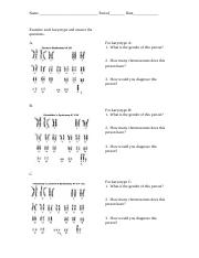 Edgar Saavedralopez - karyotype-worksheet.pdf - Name Period Date ...