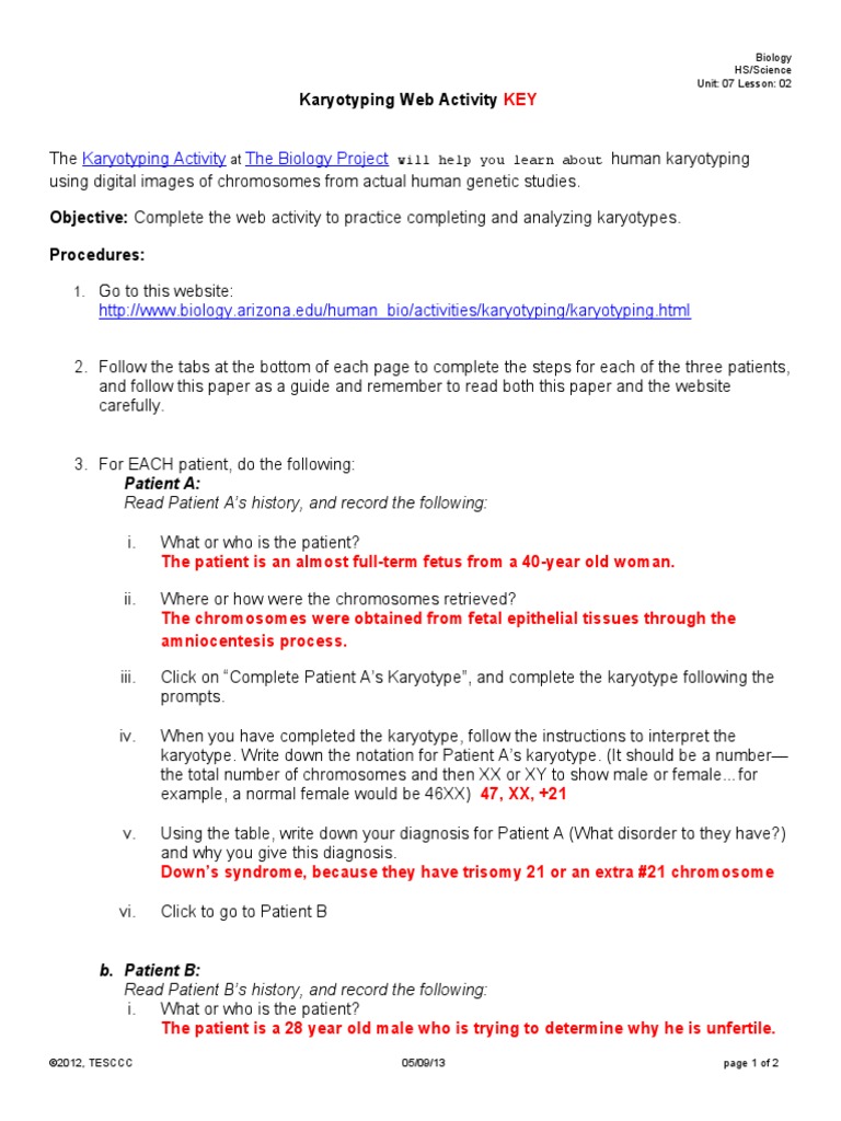 12 - SBIO0702H - Karyotyping Web Activity KEY | Download Free PDF ...