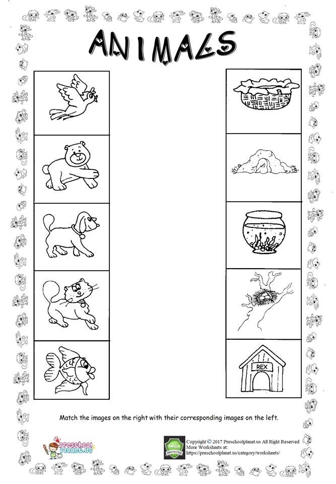 Animal worksheet for kids