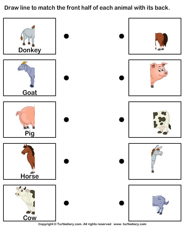 kindergarten animal worksheet
