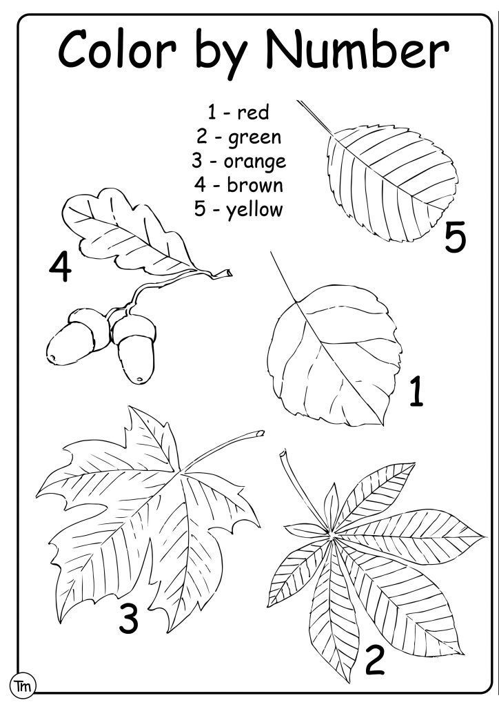 AnyConv.com__Free Fall Leaves Worksheets for Preschool and ...