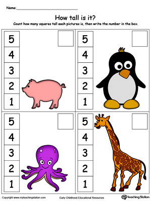 Preschool Measurement Printable Worksheets | MyTeachingStation.com