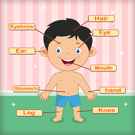 kindergarten parts of the body