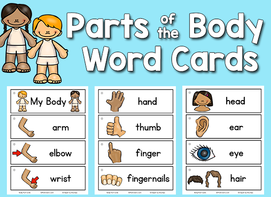 kindergarten parts of the body