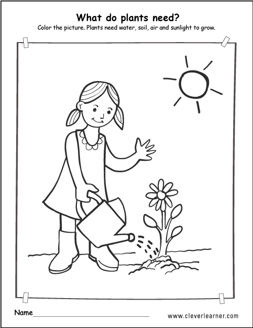 What plants need to grow worksheets for preschools