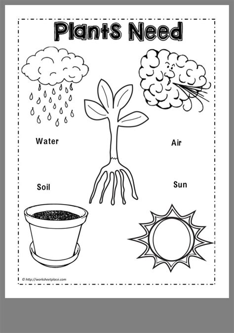 Kindergarten Science Worksheets Plants