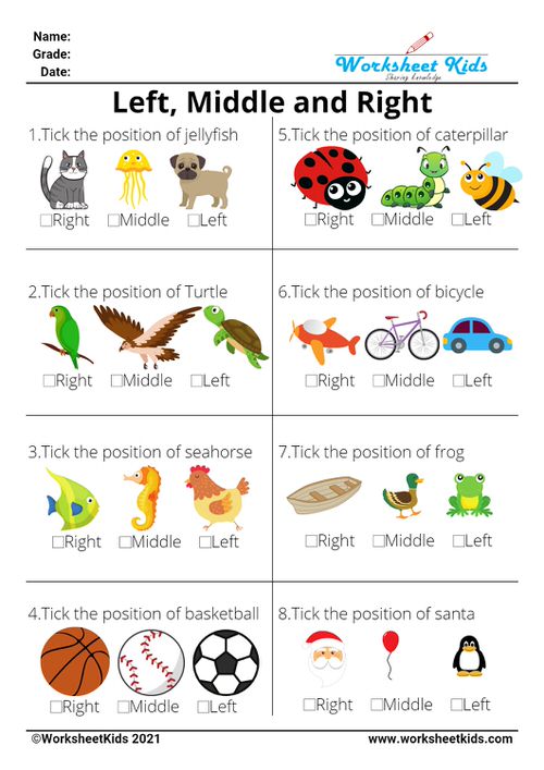 Position worksheets and spatial awareness activities - Free printable