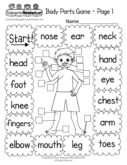 Science Worksheets for Kindergarten (Free Printables)