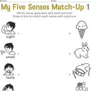 kindergarten science worksheet free