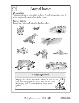 kindergarten science worksheet free