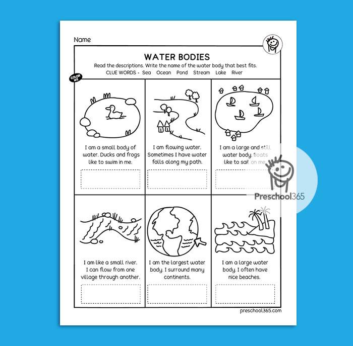 Water Science Activity Packet (14pages)