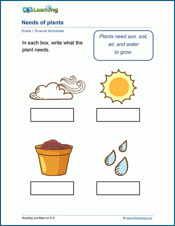 Needs of Plants Worksheet | Worsheets library