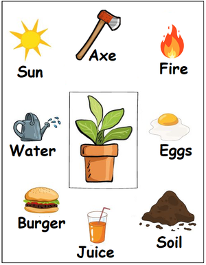 50+ Life Science worksheets for Kindergarten on Quizizz | Free ...