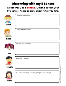 Free Kindergarten Science Printable Worksheets / Life and ...