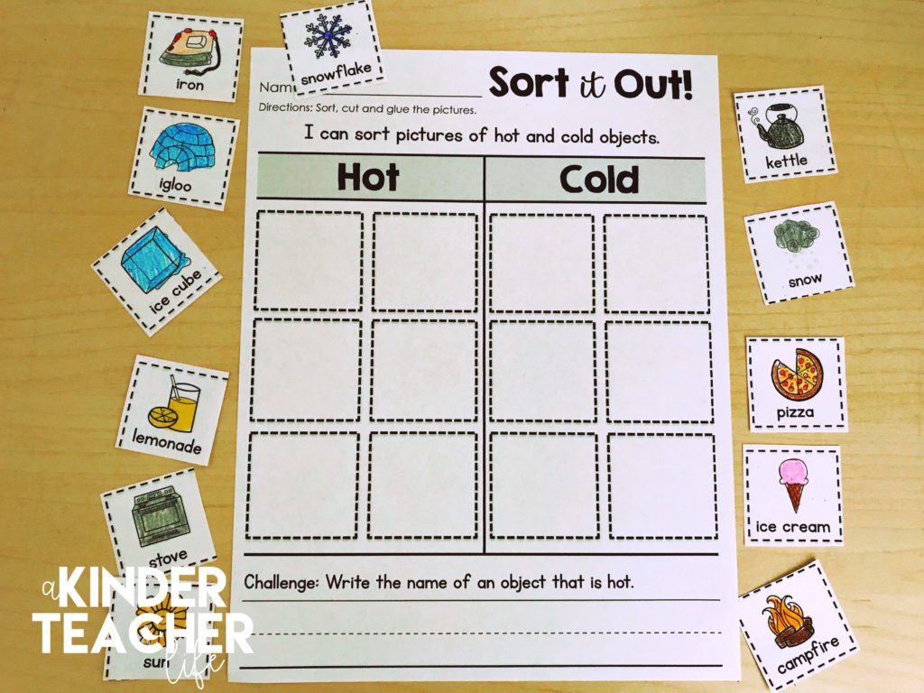 Sorting Worksheets for all Content Areas (FREEBIE included!) - A ...