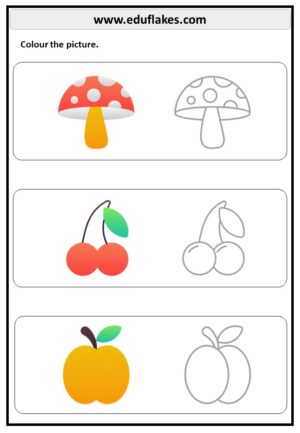 kindergarten worksheet color