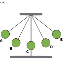 kinetic and potential energy worksheet for 6th grade