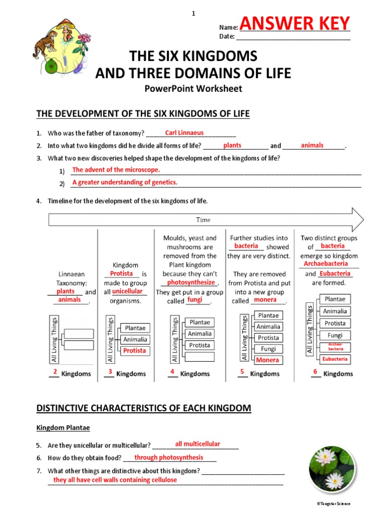 kingdoms of life worksheet