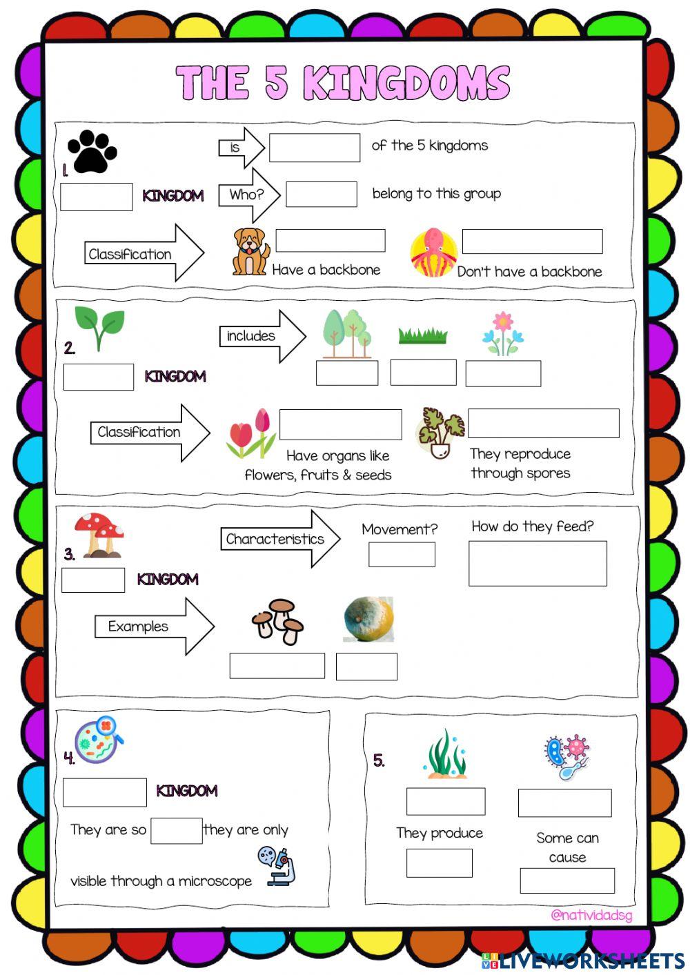The 5 kingdoms interactive worksheet | Live Worksheets - Worksheets Library