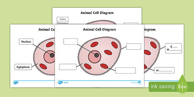label a cell worksheet