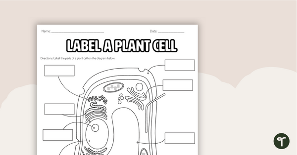 label animal and plant cell worksheet