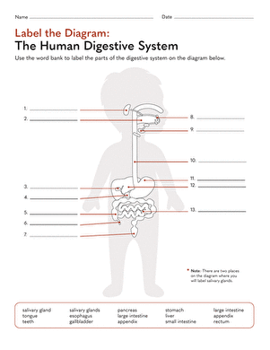 Free label the digestive system worksheet, Download Free label the ...