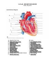 W1 HEART-DIAGRAM WORKSHEET 1 .docx - 1.4 Lab - HEART DIAGRAM Value ...