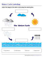 label water cycle worksheet