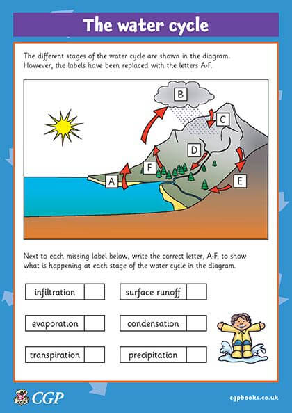 label water cycle worksheet