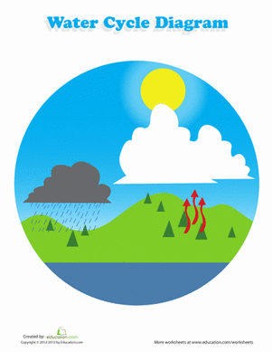 label water cycle worksheet