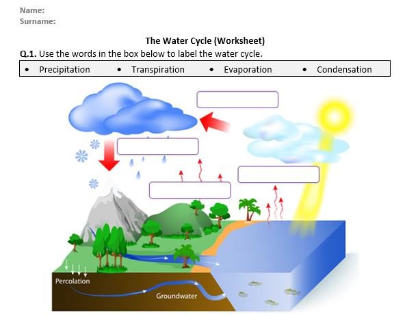label water cycle worksheet