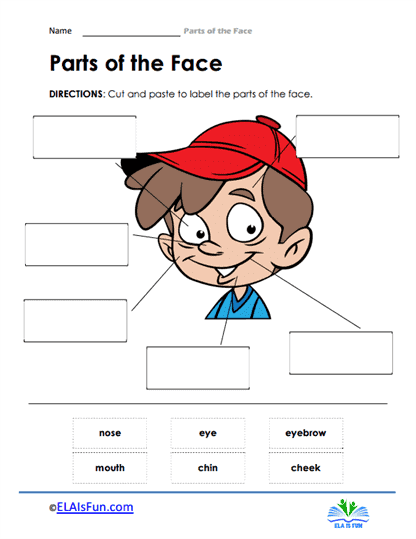 Parts of the Face Worksheets - 15 Worksheets Library
