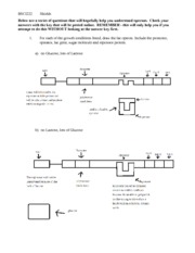 lac operon worksheet