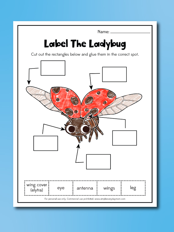 Ladybug Worksheets For Kids [Free Printable] Worksheets Library