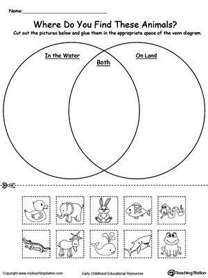land and water worksheet