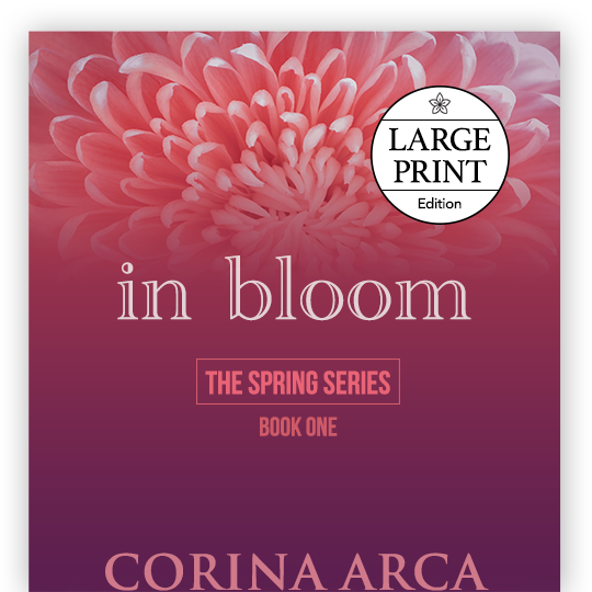 Creating a Large Print Edition | Vellum Help