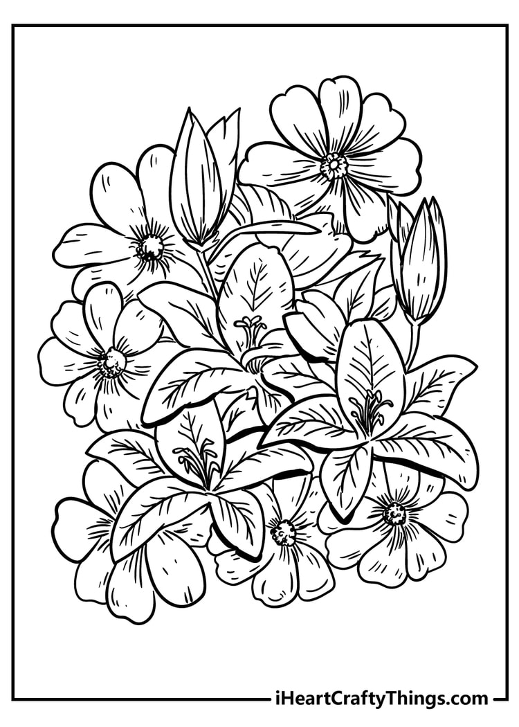 All New Flower Coloring Pages 2024 (100% Free Printables)