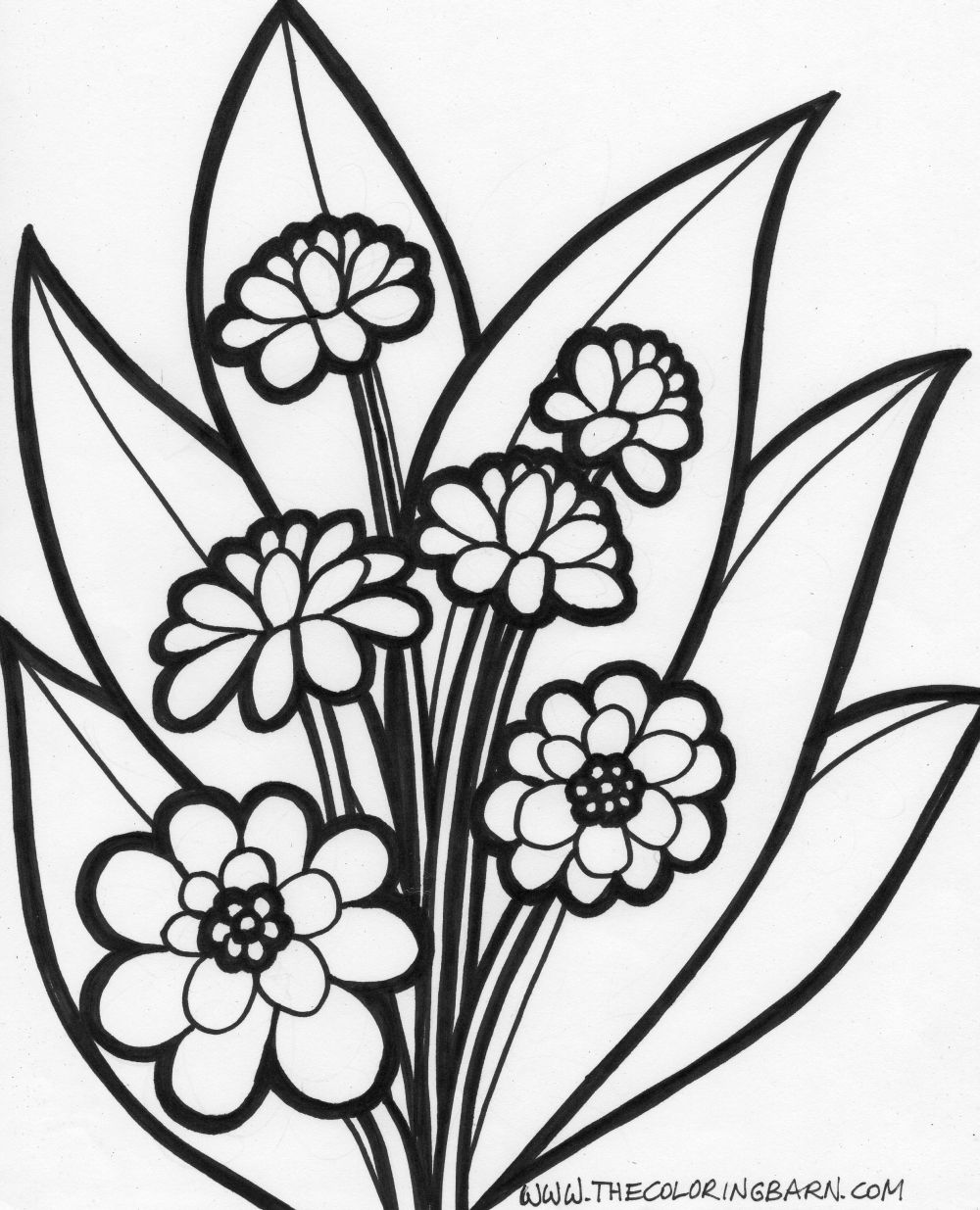 Flower Coloring Pages - The Coloring Barn