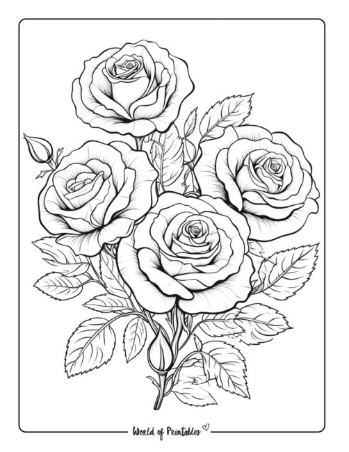 230 Best Flower Coloring Pages For Kids &  Adults