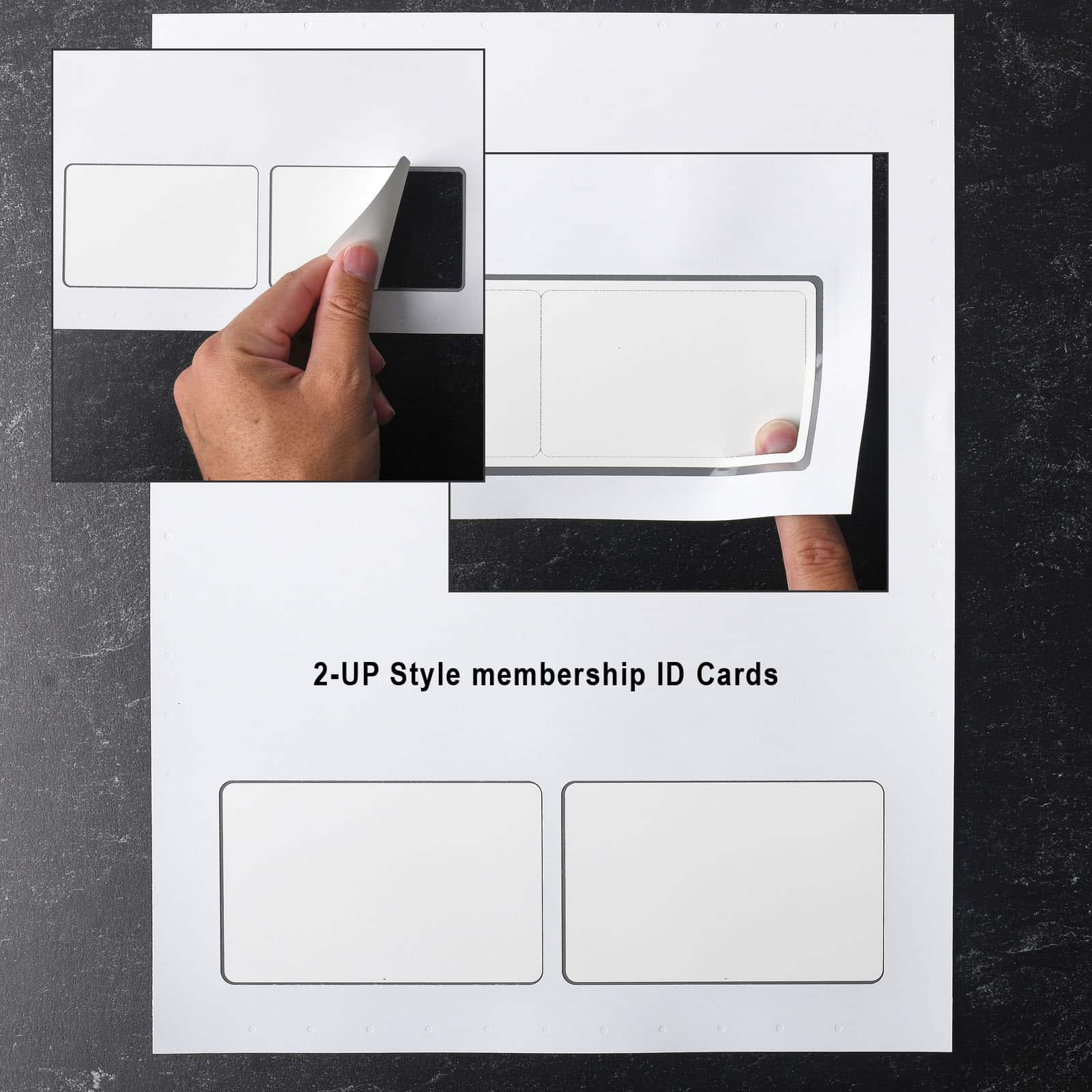 Double Side Plastic ID Card Printers At Rs 52000 In Hyderabad ID Double Side Plastic ID Card Printers At Rs 52000 In Hyderabad ID