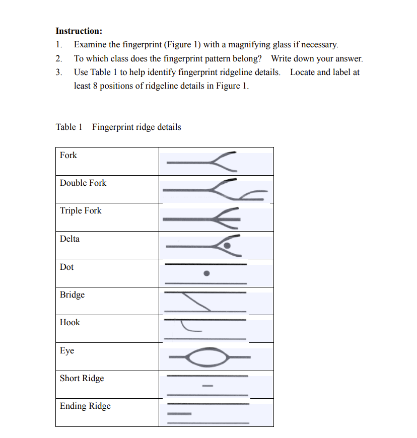 Latent Print: Fingerprint recovered from the | Chegg.com