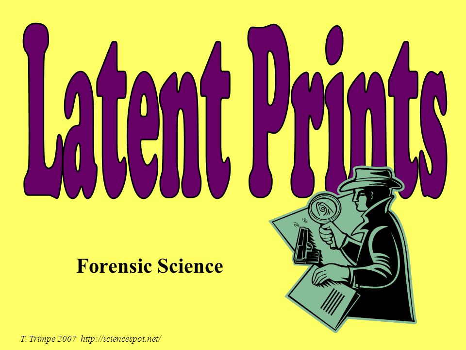 Latent Prints Forensic Science T. Trimpe ppt download