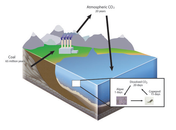 law of conservation of matter