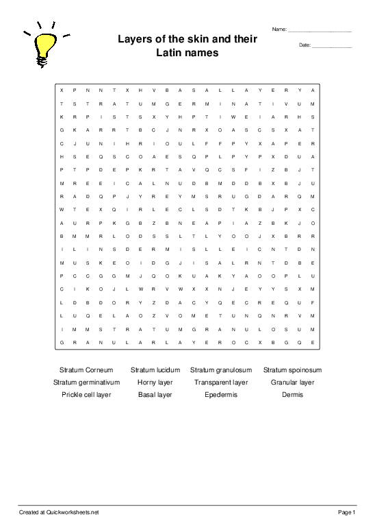 layers of the skin worksheet
