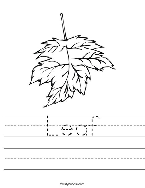 Leaf Worksheet - Twisty Noodle
