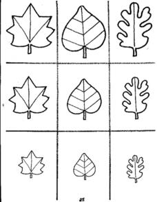 Types Of Leaves Worksheet for Kindergarten - 2nd Grade | Lesson Planet