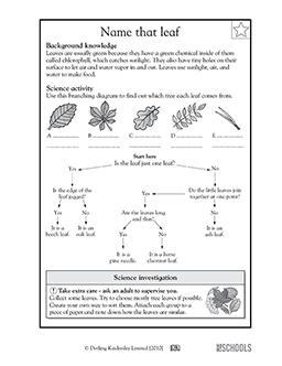 Name that leaf | 3rd grade, 4th grade Science Worksheet | GreatSchools